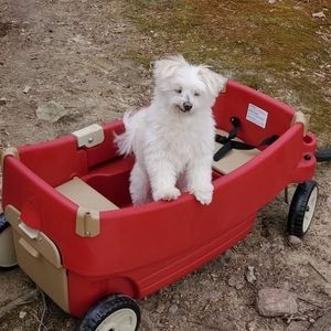 Meet your Posher, Cj